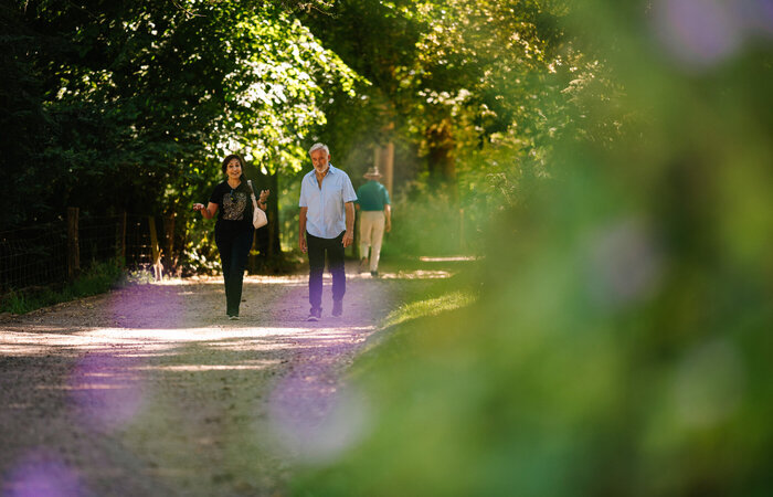 Classic models walking together