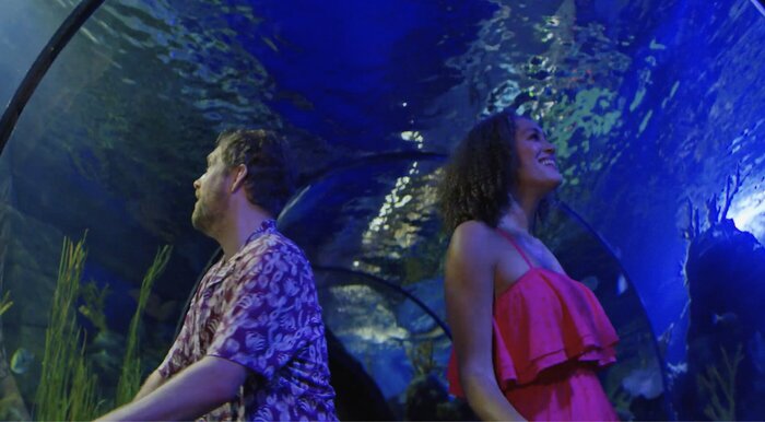 Man and woman in glass tunnel in an aquarium