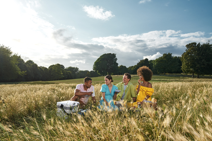 Four models laughing and having a picnic together in a field on a sunny day