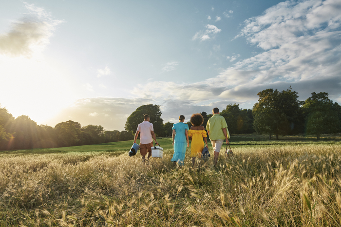 Four models walking away in field on a sunny day